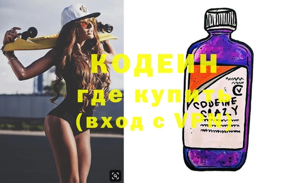 прущие грибы Елабуга