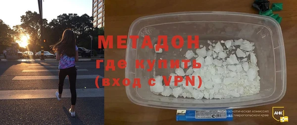 прущие грибы Елабуга