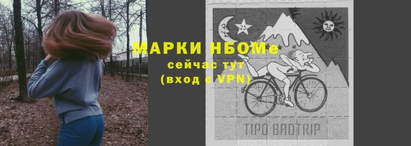 прущие грибы Елабуга