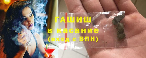 прущие грибы Елабуга