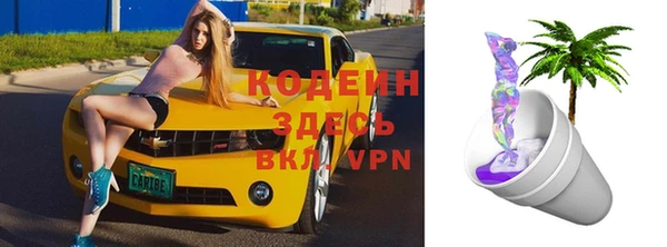 прущие грибы Елабуга