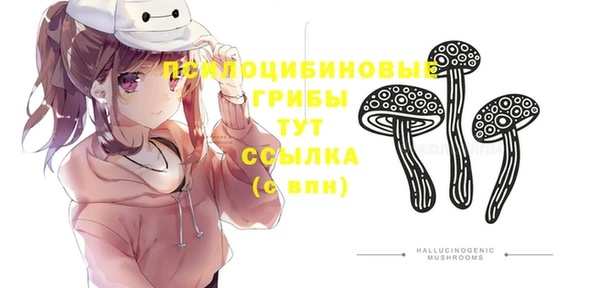 герыч Елизово