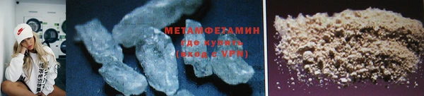 прущие грибы Елабуга