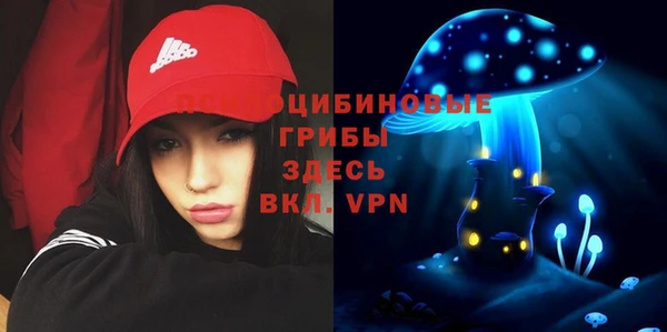 марки nbome Ельня
