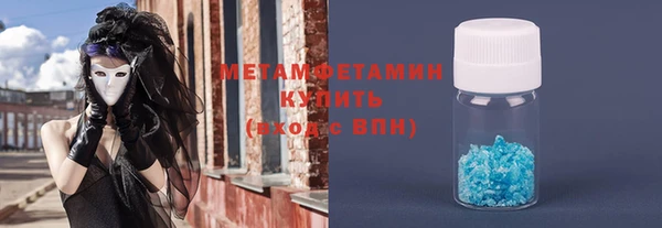 прущие грибы Елабуга