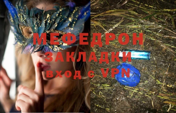 прущие грибы Елабуга