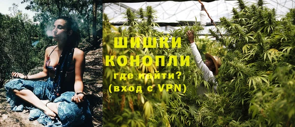 прущие грибы Елабуга
