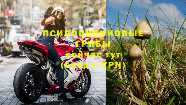 герыч Елизово