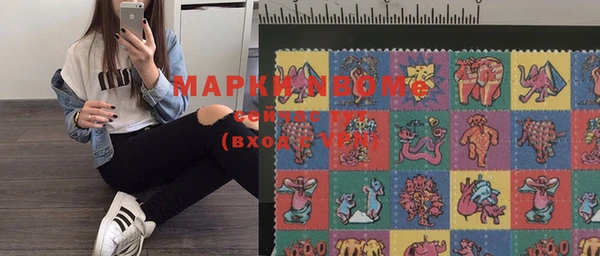 прущие грибы Елабуга