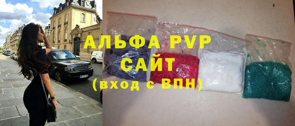 прущие грибы Елабуга