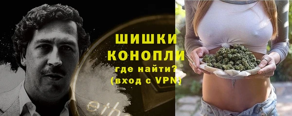 прущие грибы Елабуга